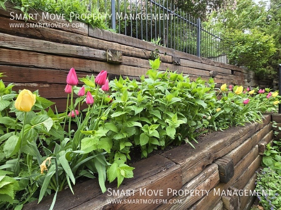 Chic & Modern Highlands Home.  3 Tiered Park-like Backyard property image