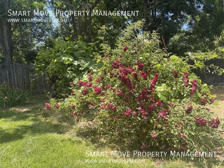Charming 4 bedroom in Meridian with oversized back yard property image